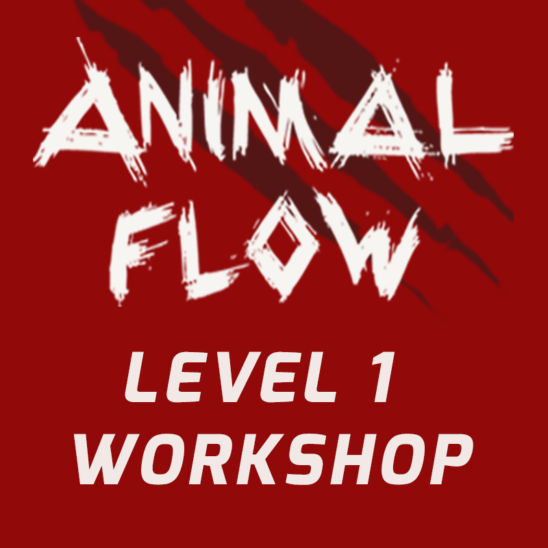 Animal Flow L1 - NYC Reg Ticket Oct