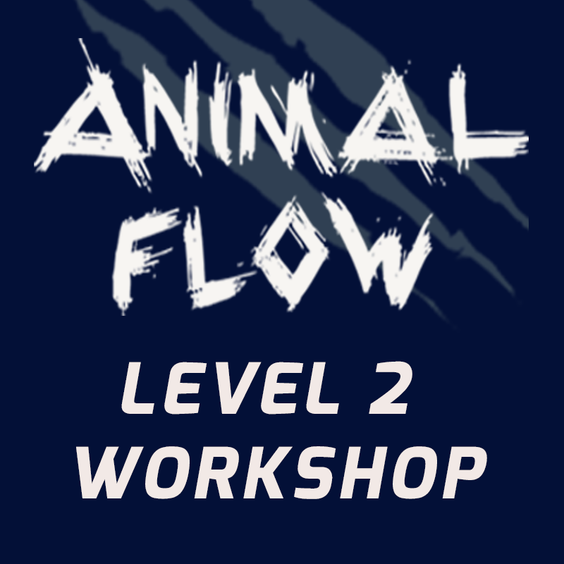 Animal Flow L2 Dublin October