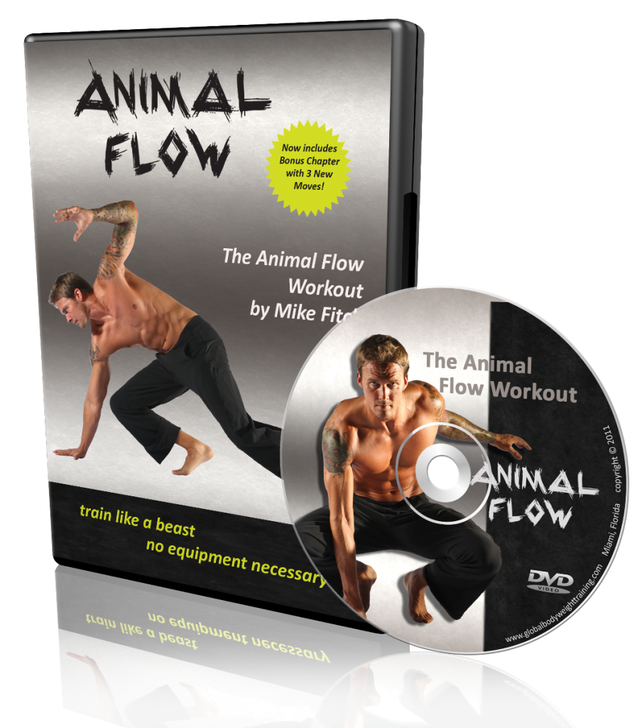 Animal Flow Video Animal Flow