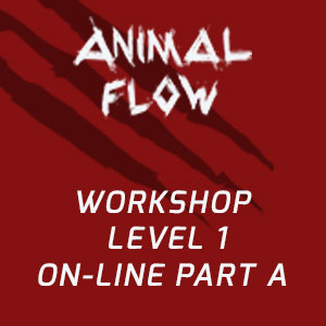 Animal Flow Workshop London Dec Regular