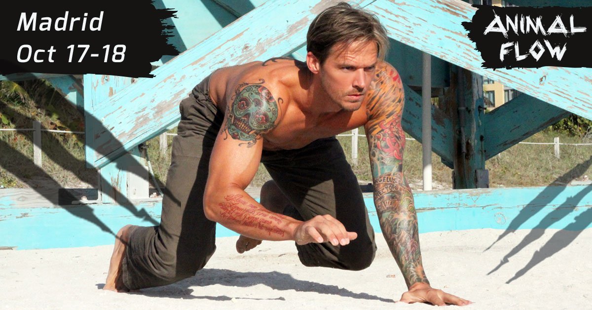 Level 1 Workshop Madrid Animal Flow