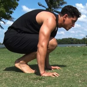 Forward Traveling Apes Animal Flow video