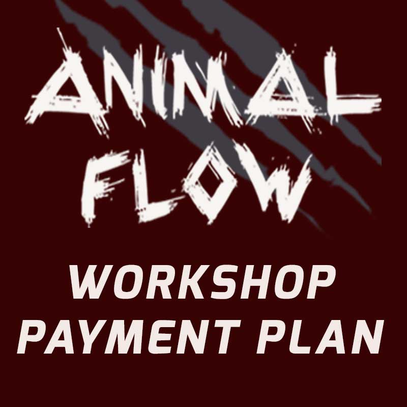 Animal Flow Workshop Payment Plan 587