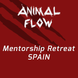 Spain Mentorship 2016 Full Payment