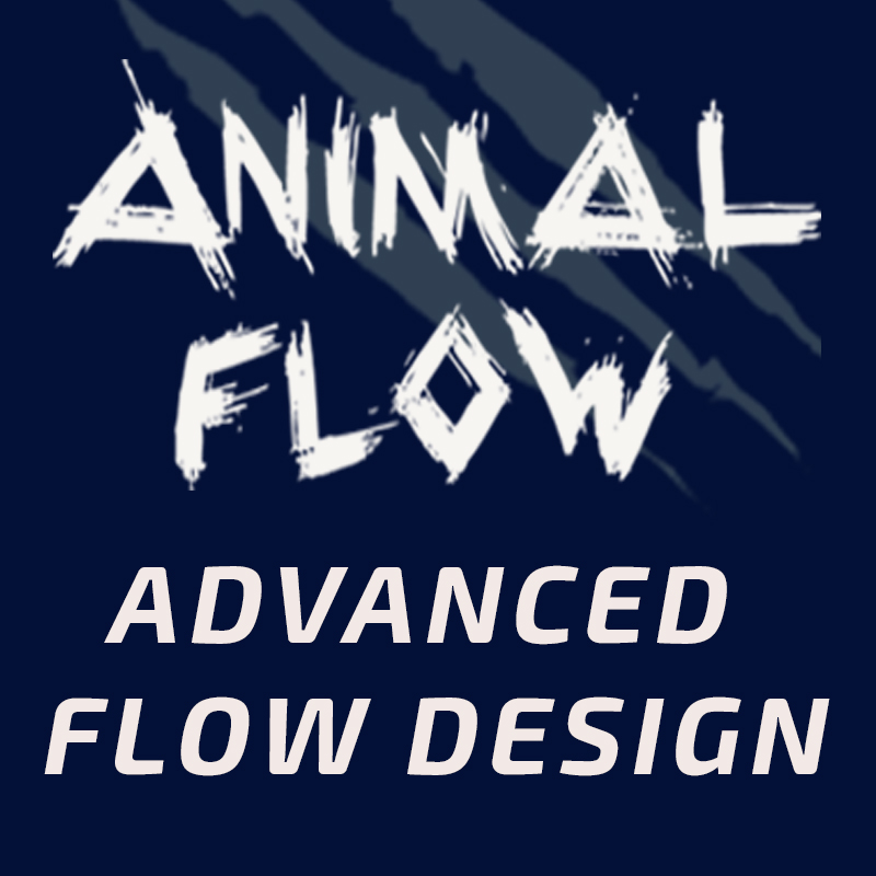 Advanced Flow Design NYC Aug