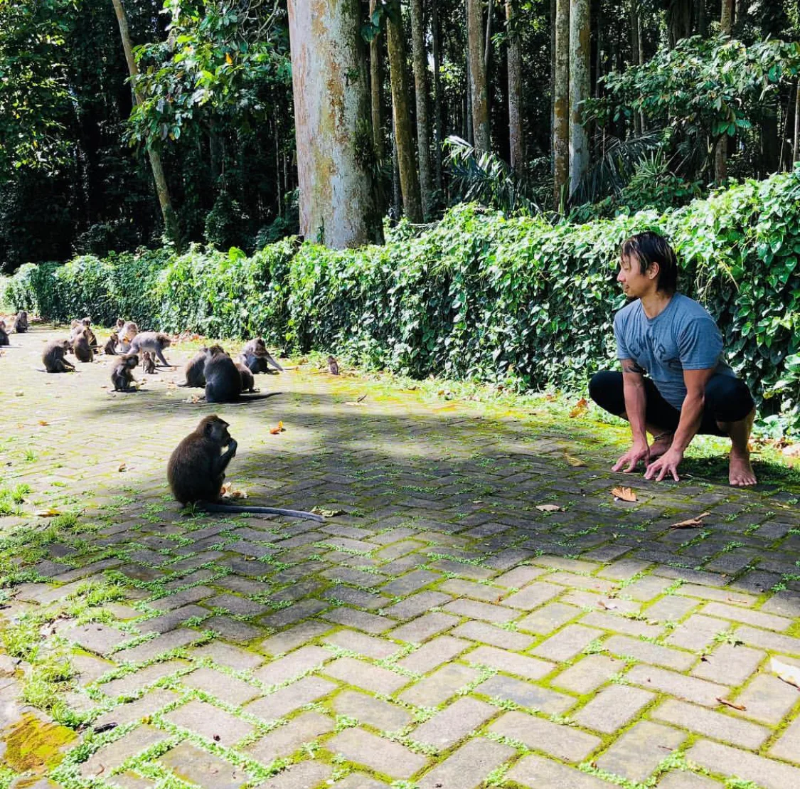 Jin Takazawa's Action Image Jin Takazawa's Action Image