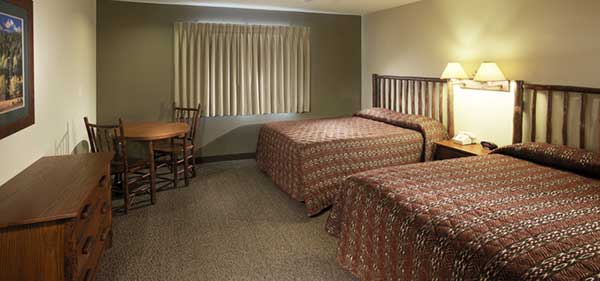 Animal Flow Retreat Rooms Animal Flow