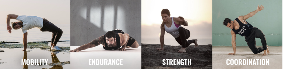 mobility, endurance, strength, coordination