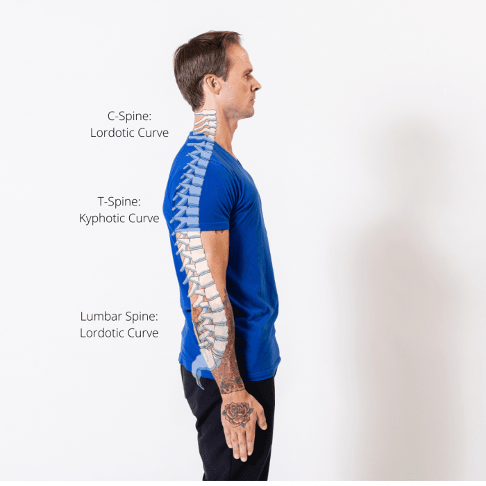 Adapting To Low Back Pain Part 1 adapting-to-low-back-pain-part-1