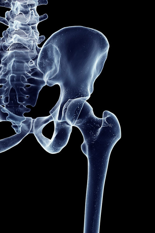 x-ray of hip joint