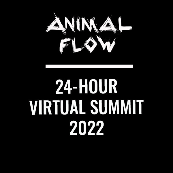 AF Virtual Summit Payment Plan 112