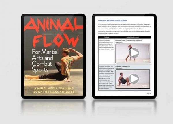 eBooks Kindle: Aprendendo a jogar capoeira (com os