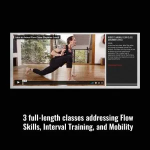 Sample Classes
