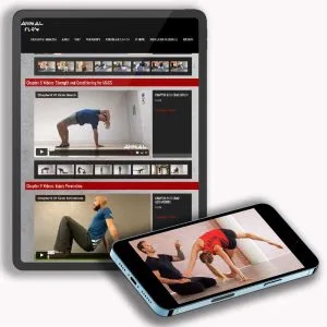 Video Displays