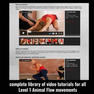 Level 1 Tutorials