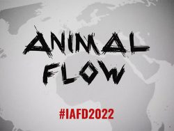 Animal Flow IAFD2022 banner