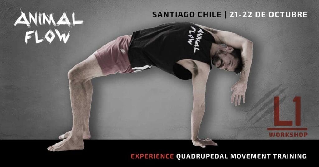 Events › Level 1 Instructor Certification › Page 3 Animal Flow