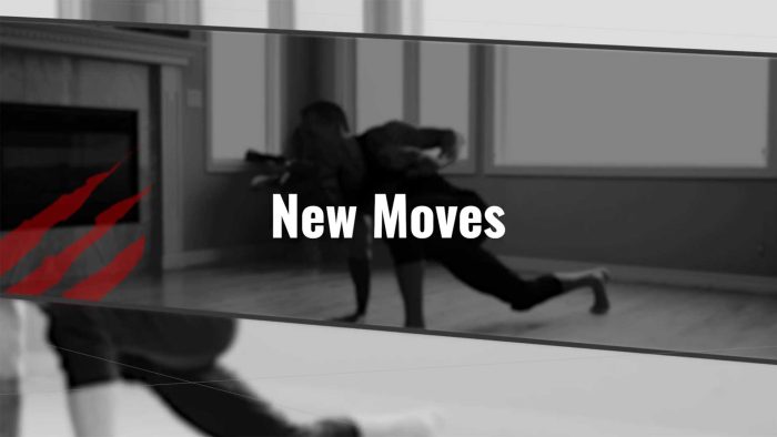 Flowcademy New Moves