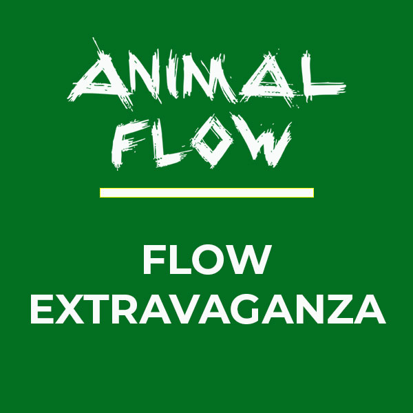 Ticket-Flow-Extra