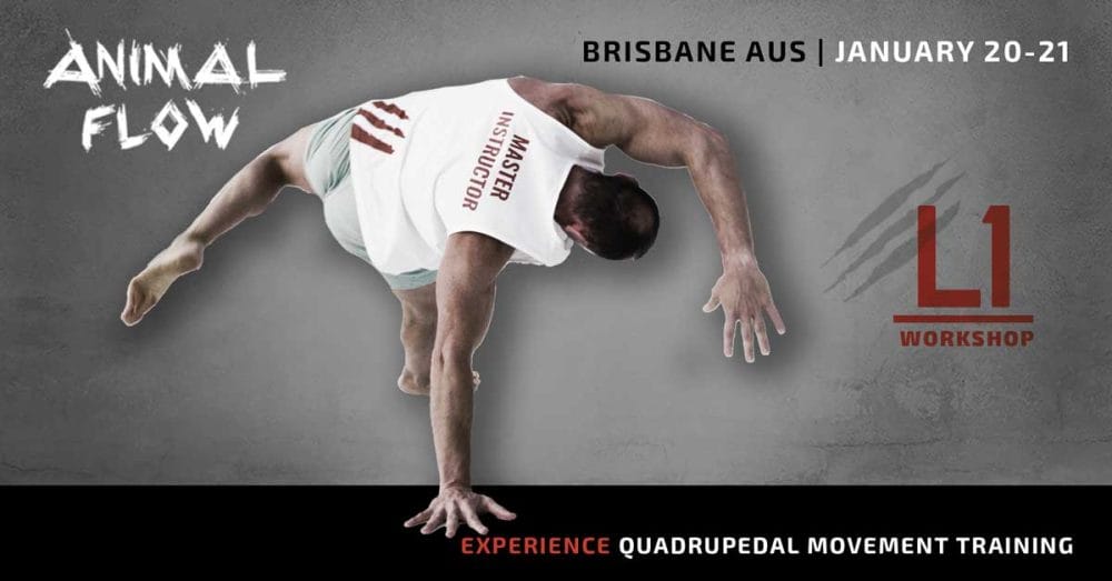 Animal Flow Level 1 Brisbane (Jan) Animal Flow
