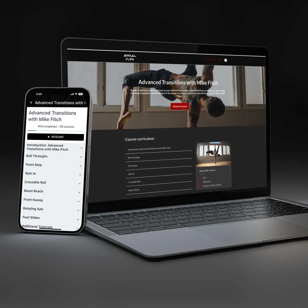 Adv-Trans-Product-Img Adv-Trans-Product-Img