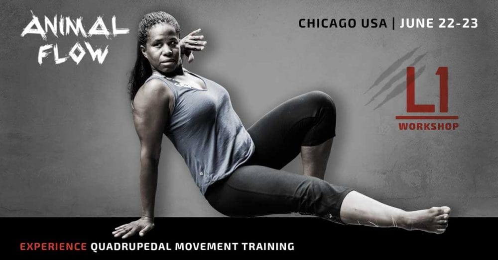 Animal Flow Level 1 Chicago (Jun) Animal Flow